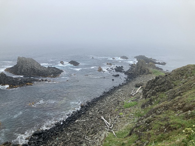 �X�R�g����