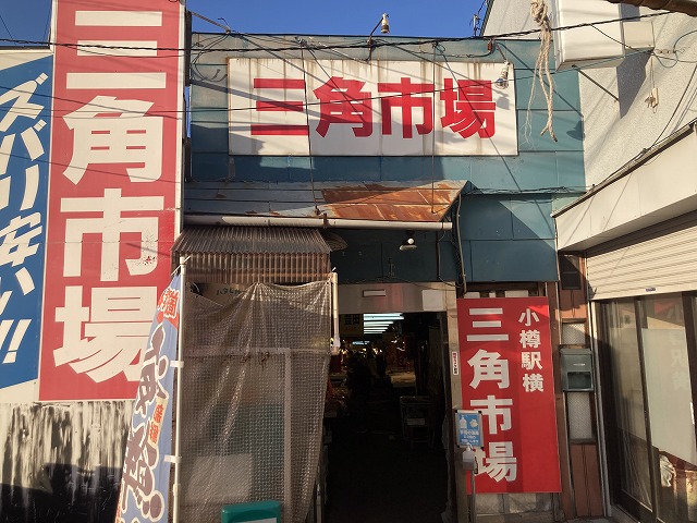 ���M�O�p�s��