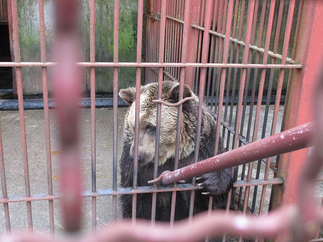 ウポポイ 民族共生象徴空間　しらおいポロトコタン