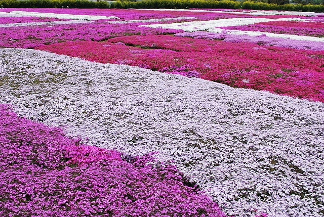 東庄町 東庄ふれあいセンター