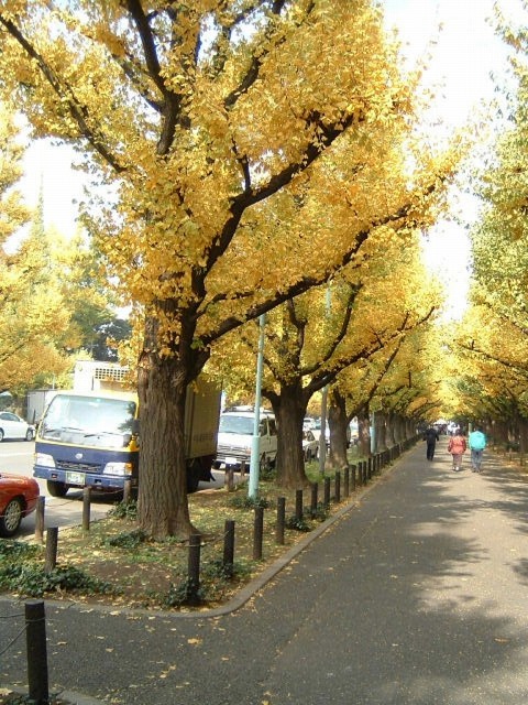 �����_�{�O�� �����傤����