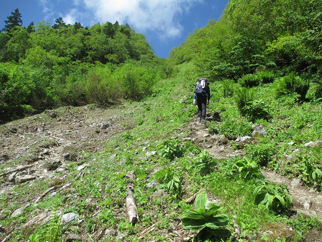北岳、間ノ岳登山