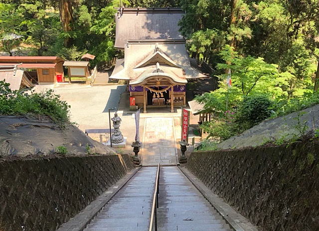 �����g���_��