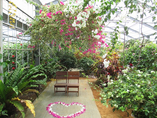 ユートピアファーム宮古島