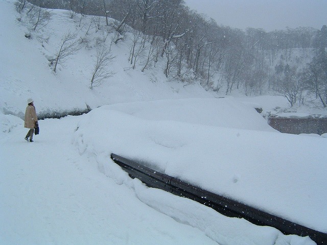 �������� ���Z����