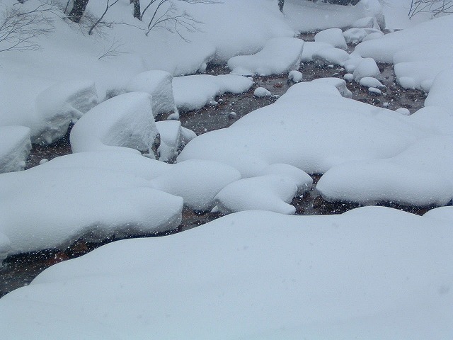 �������� ���Z����