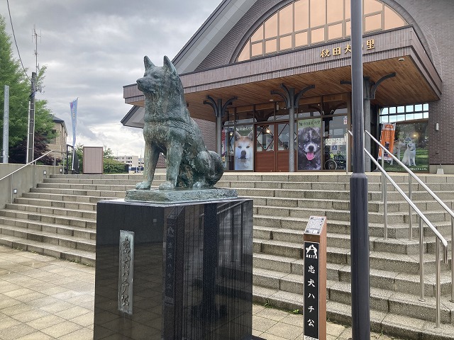 秋田犬の里