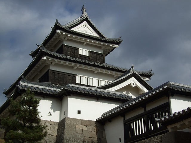 ���͏�����