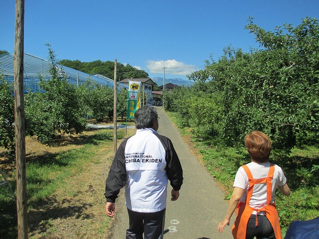まるえ観光果樹園
