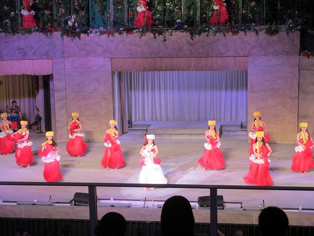 �X�p���]�[�g�n���C�A���Y