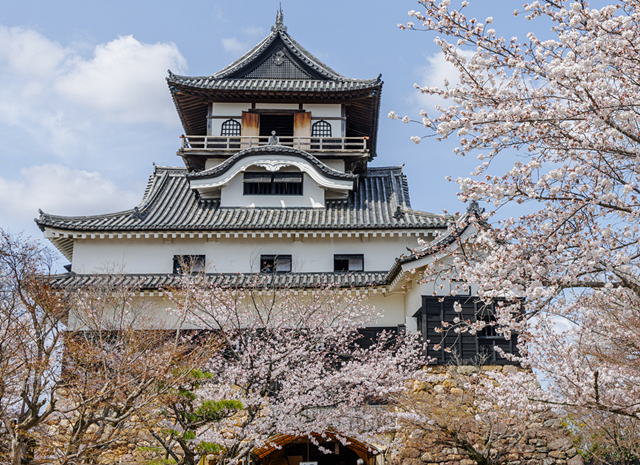 ���R��@����12�V��