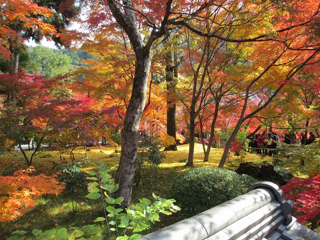 永観堂　禅林寺