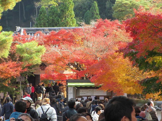 �T�ю��i�i�ϓ��j