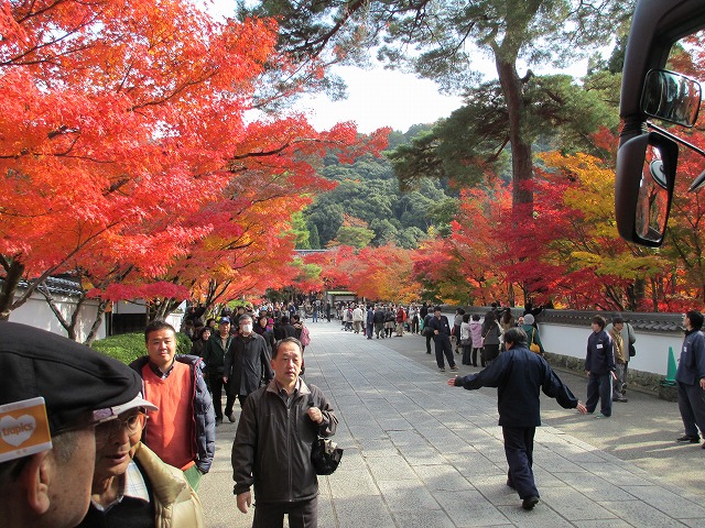 永観堂　禅林寺
