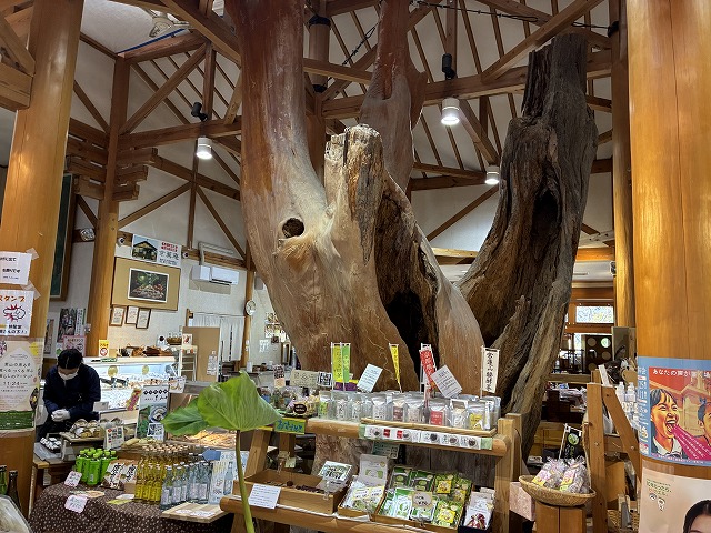 道の駅 ウッディー京北