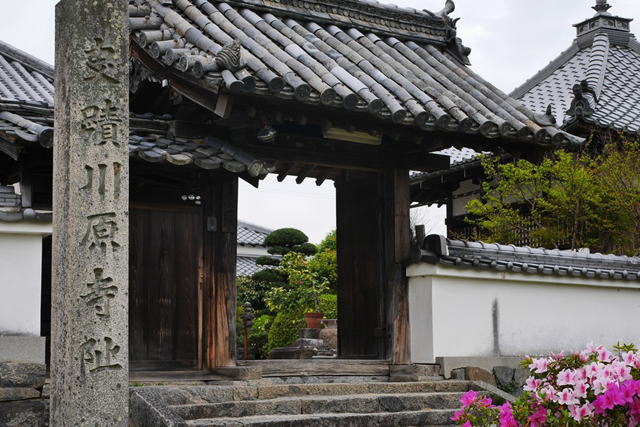 川原寺跡 弘福寺