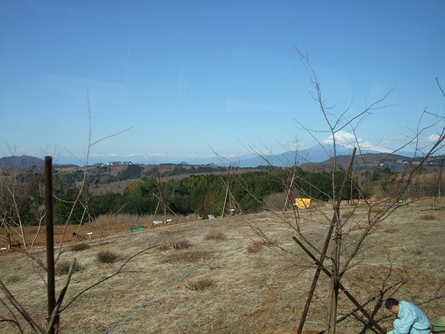 中伊豆ワイナリーシャトーT.S