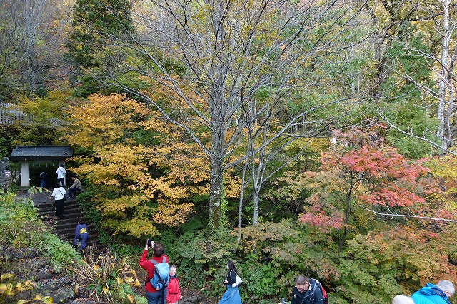 戸隠神社 九頭龍社