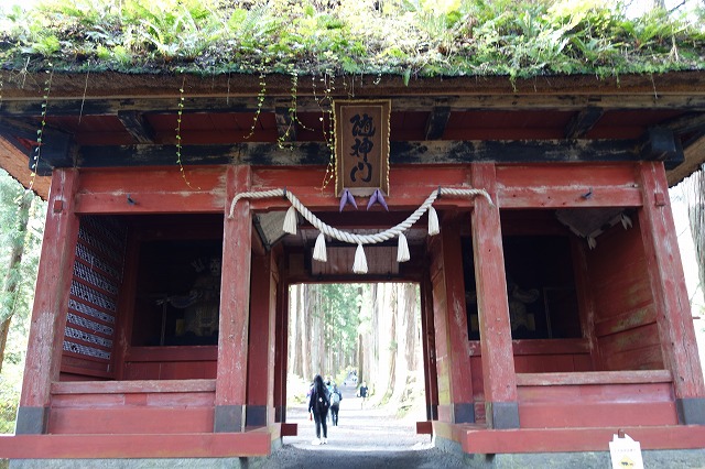 戸隠神社　奥社