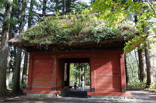 戸隠神社　奥社