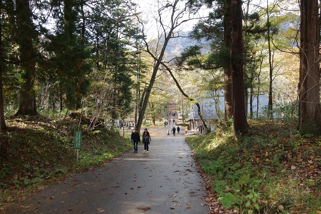戸隠神社　奥社