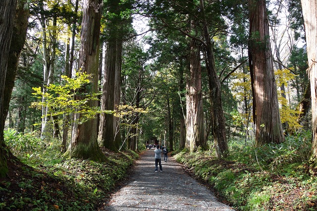 戸隠神社　奥社