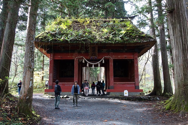 戸隠神社　奥社
