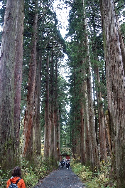 戸隠神社　奥社