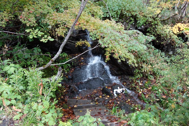 戸隠神社　奥社