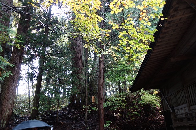 戸隠神社 火之御子社