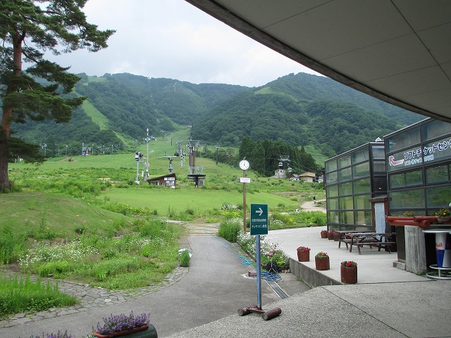 ���n�ܗ����R�A����