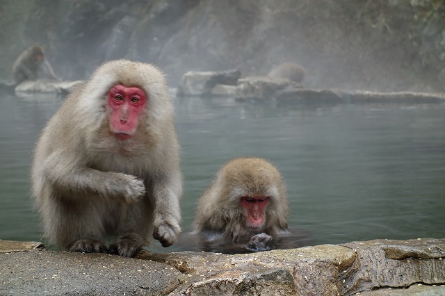 �n���J�쉎����