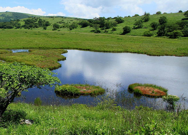 ������������