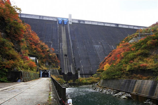 �������_��