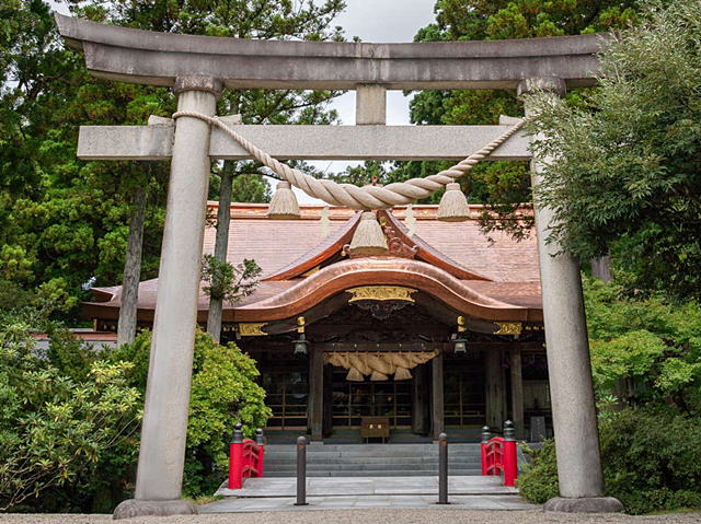 �����_��